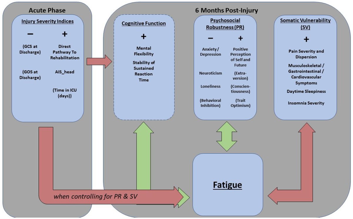 Spennende ny artikkel fra Daniel Løke m.fl. om hvordan ulike faktorer påvirker fatigue etter traumatisk hjerneskade! 
Impact of Somatic Vulnerability, Psychosocial Robustness and Injury-Related Factors on Fatigue following Traumatic Brain Injury
mdpi.com/2077-0383/11/6…