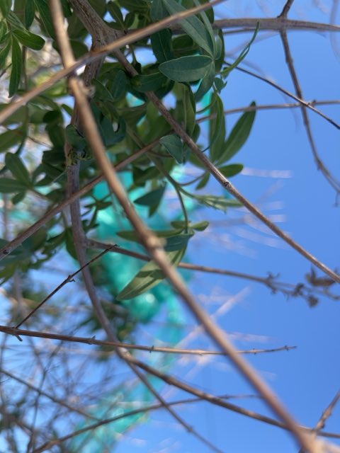 CastonCreative's tweet photo. Poobrain found #ethereum in a User vault at this location! Join me playing #coinhuntworld, It's awesome! https://t.co/Jp5uEb7YEY #cryptocurrency #68192 found a little crypto in a trash tree.looks pretty tho https://t.co/zKvXYcjRoR