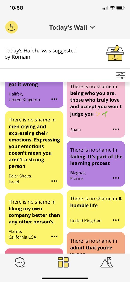 Daily Haloha tweet media