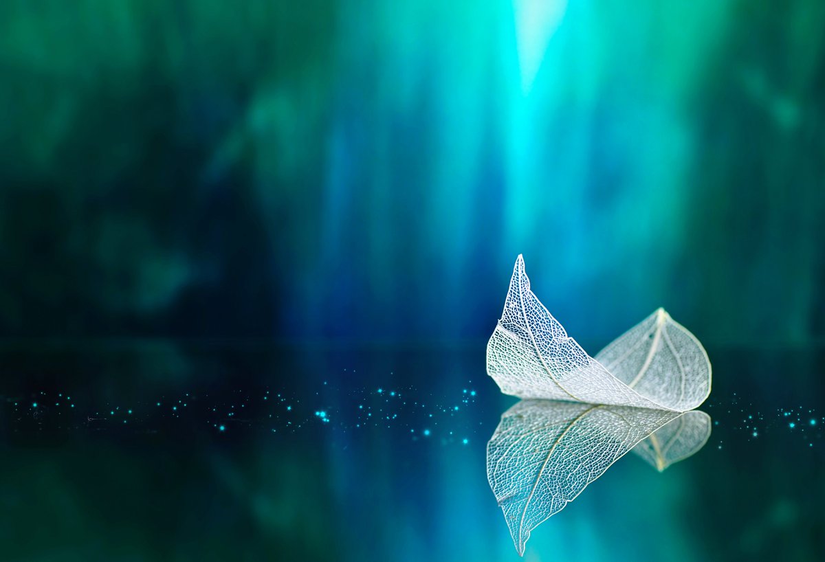 If I'm walking on thin ice, I may as well dance across🧊⛸ #EatPrintLove #DesignInspiration