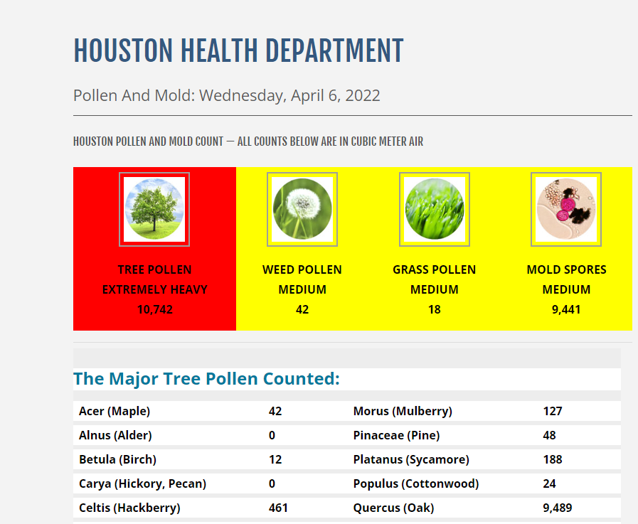 mattlanza's tweet photo. Tree pollen is *INSANE* today...I've never seen a tree pollen value over 10,000 from @HoustonHealth's pollen count page. But here we are.

Oak pollen is the primary culprit.

https://t.co/lKg0ZbOALS https://t.co/aMSpxgXdSm