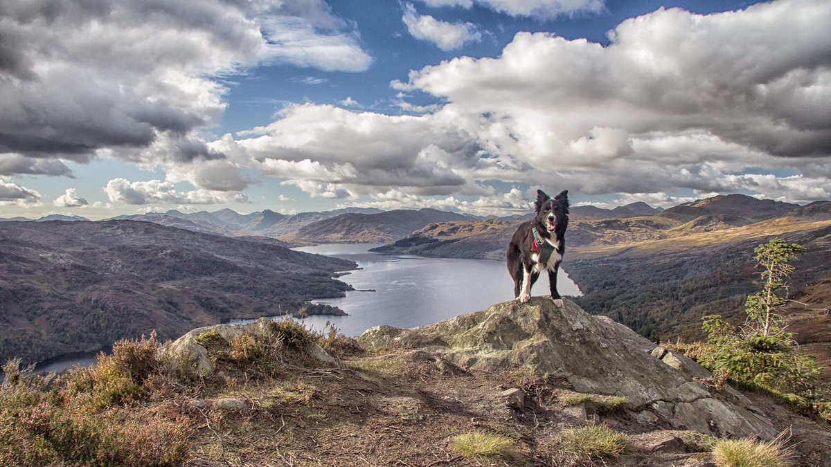 John Isaacs tweet media