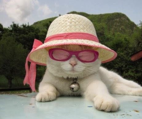 placeofrowe's tweet photo. sunny day 🌞 https://t.co/rLLndlrHlj