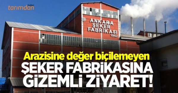 18-1962 yılında Ankara Şeker Fabrikası ve 1963 yılında da Kastamonu Şeker Fabrikası, sanayiimizin geliştirilen bir makina fabrikası ile iki atölyede %65& #39;i imal edilerek işletmeye alınmışlardır.