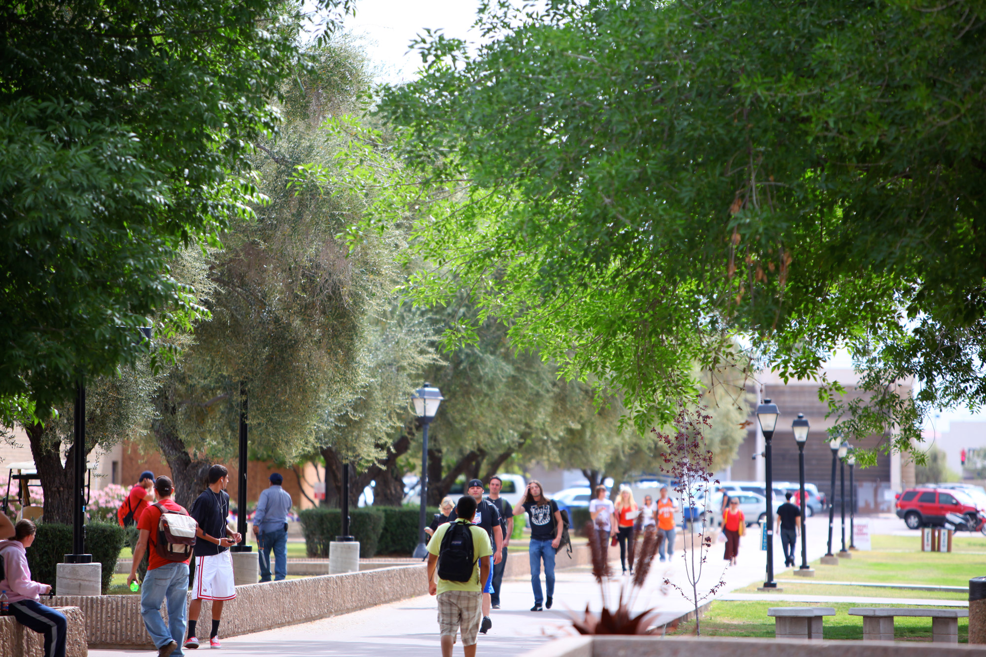 mesa-community-college-on-twitter-there-s-still-time-to-attend-the-cultural-science-department