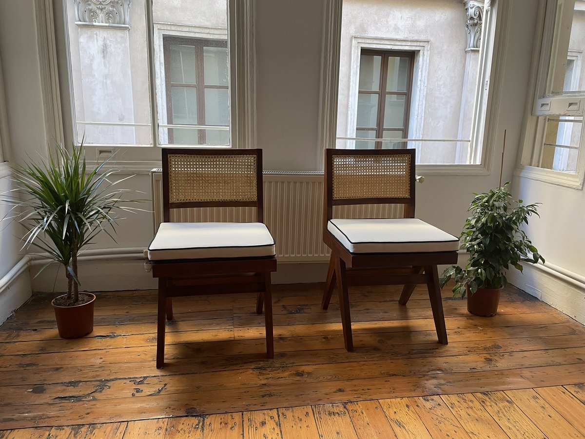 bir haftaya kalmadan pert olacağını bile bile eve bitki almak. vazgeçmeyeceğiz bu sevdadan 🥲