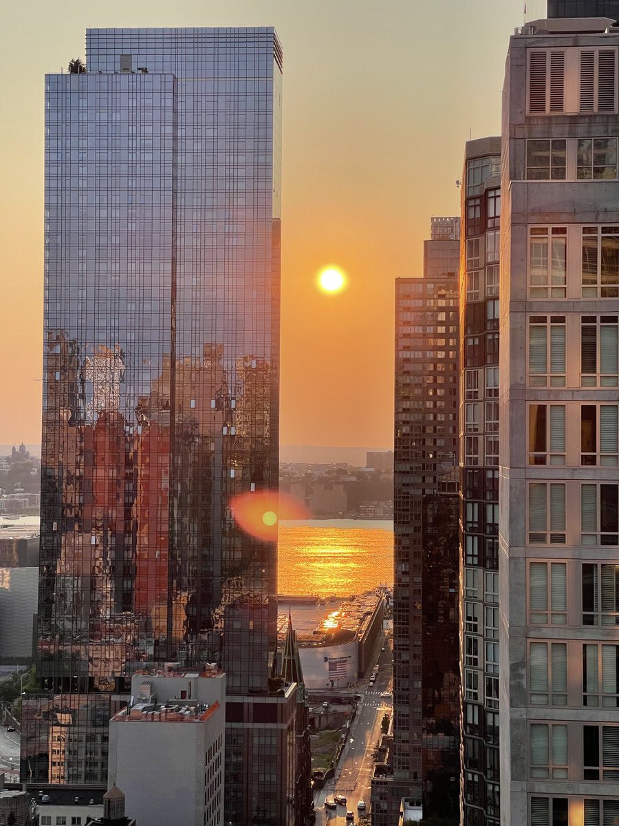 MJ⛩🧬🍌 tweet media