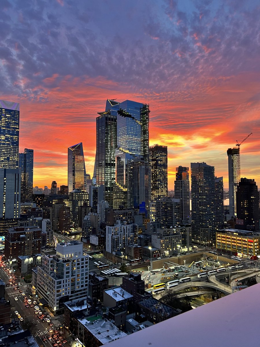 MJ⛩🧬🍌 tweet media