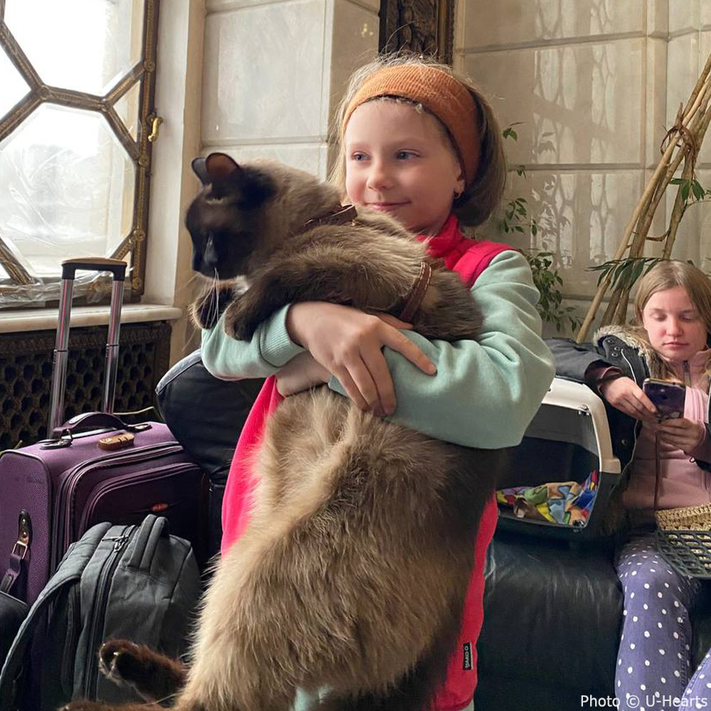 GreaterGoodorg's tweet photo. Thanks to your support, our Good Packs full of essential people & pet supplies are being distributed into the hands of Ukrainian refugees right now. Thank you to U-Hearts for helping us get these supplies to those in need! #GoodPacks #Ukraine #AmplifyTheGood https://t.co/CEqe18Sm01