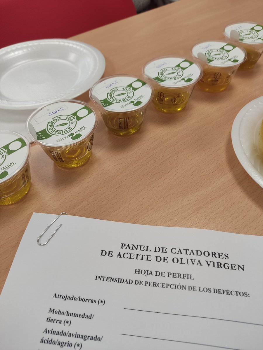 Mer_barranco's tweet photo. ✍️📖 Seguimos aprendiendo sobre valoraciones sensoriales de AOVES en la Escuela Abierta de Catas de Jaen. 

Es un privilegio obtener el conocimientos sobre AOVES de la mano de los mejores expertos. 

#AOVES #EscuelaDeCata #sostenibilidad #Cooperacion https://t.co/w1tcoKENIR