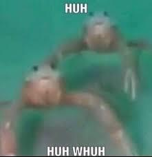 goblinsarevalid's tweet image. i love these little guys