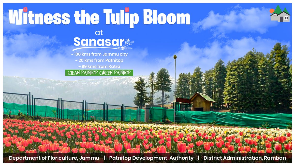 PatnitopDA's tweet image. Visit Lake #Sanasar to experience the vibrant #tulip bloom amidst pine conifers and scenic meadows.

#AmazingJammu
#Jktourism
#IncredibleIndia 
#Patnitop