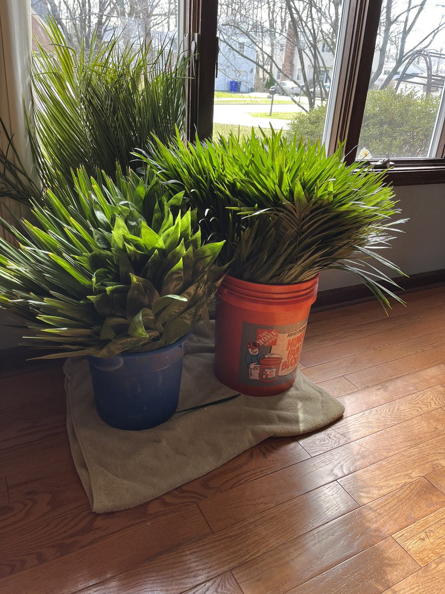 drlindsay's tweet photo. It’s starting to look like Holy Week! Now just hoping Saturday evening stays free of rain and snow for our observation of Liturgy of the Palms … https://t.co/kl2tYcoaGn