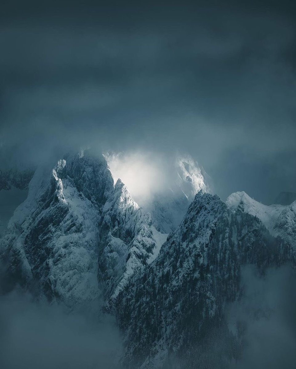 FABIAN•HUEBNER tweet media