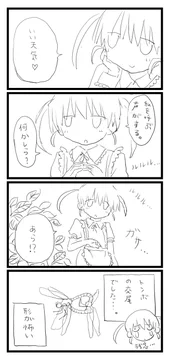 画像 / Picture