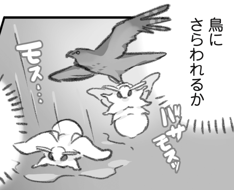 鳥にからまれるモス