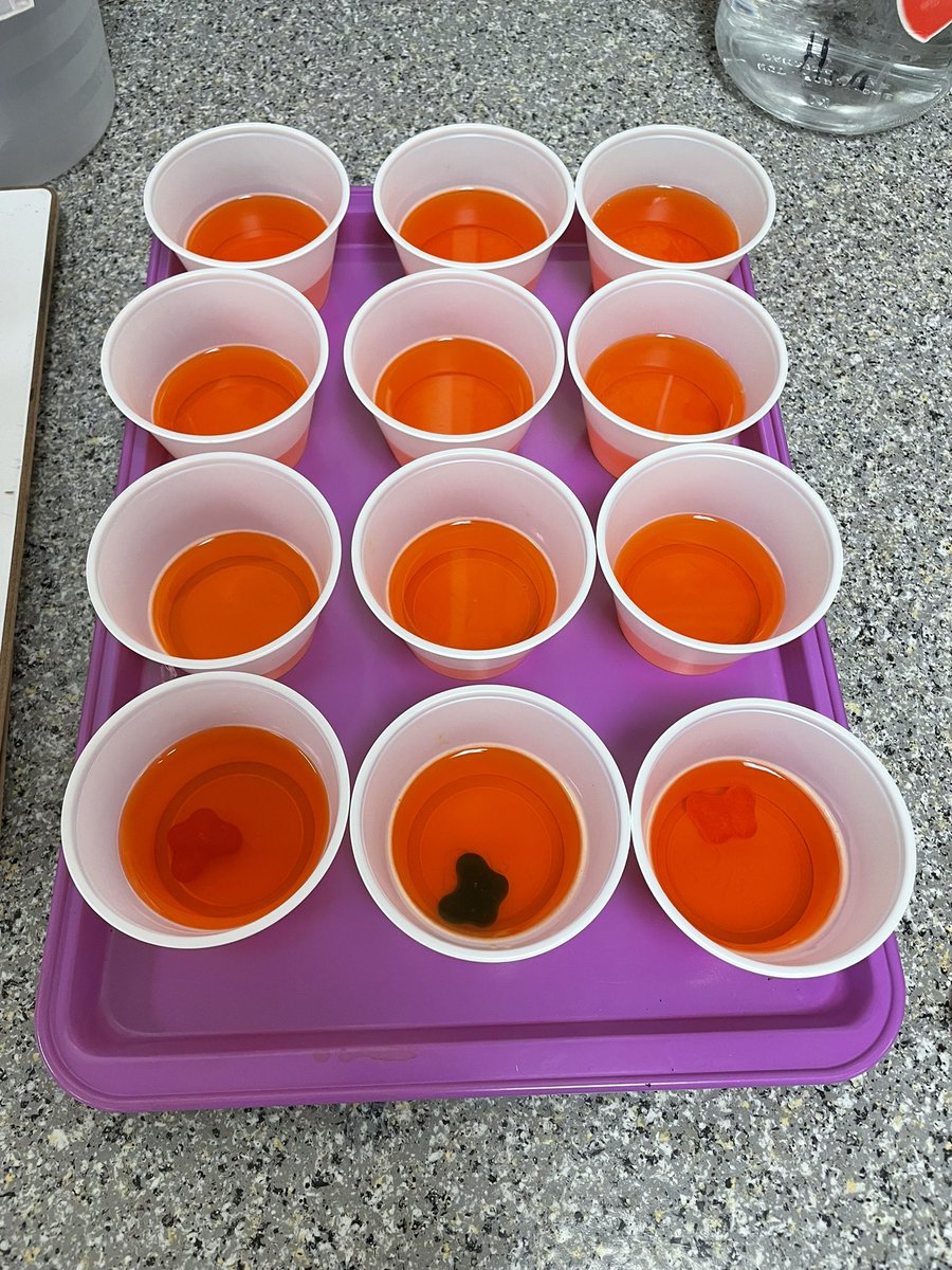 #tastytuesday was quite the adventure! Jello and gummies mixed together to create amber fossils!! #wotyc #excavating #earlypaleontologists #room1rangers