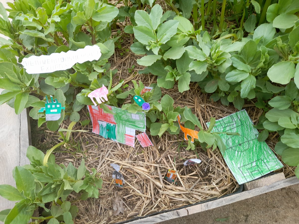 EscuelaIdeo's tweet photo. Diseñamos y creamos micromundos en nuestro #entornonatural. ¡#Arte y #naturaleza, combinación perfecta! 
#Primaria #VIISemanaArte #Aleis #BLR #Estudiomh10 @FundEscuelaIDEO https://t.co/K7HdPTOQHJ
