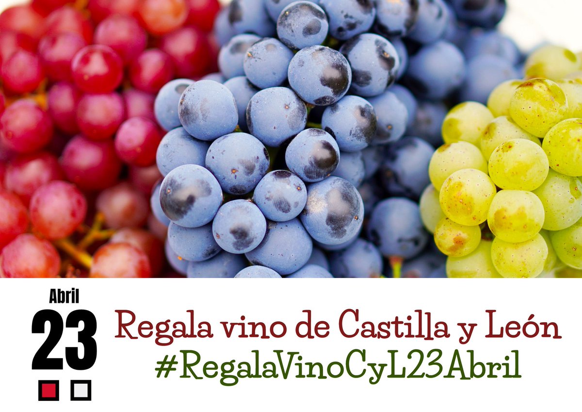 Celebramos el #DiadeCastillayLeon regalando vino de nuestra tierra.
No hay mejor homenaje...
Brindemos por nuestra tierra, esta tierra que nos da tan buenos vinos. 
#RegalaVinoCyL23abril
@RutaVinodeRueda @RutaVinoVerdejo @DORueda  
@alimentosVALL @Esc_Enoturismo @TurMedinaCampo