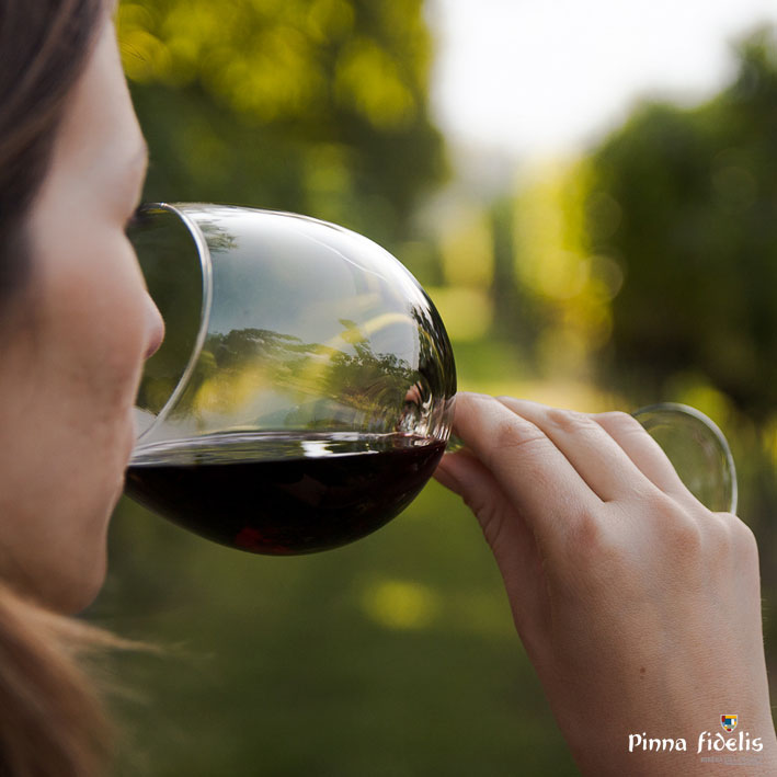 Pinna_fidelis's tweet photo. Los españoles hemos consumido durante el último año más de un 16% de #vino respecto al período anterior, según el Observatorio Español del Mercado del Vino (@OEMV_vino). Nos sobran los motivos para seguir #brindando y disfrutando de los #mejoresvinos de nuestra tierra.✨ https://t.co/vZ1wpmmCy1