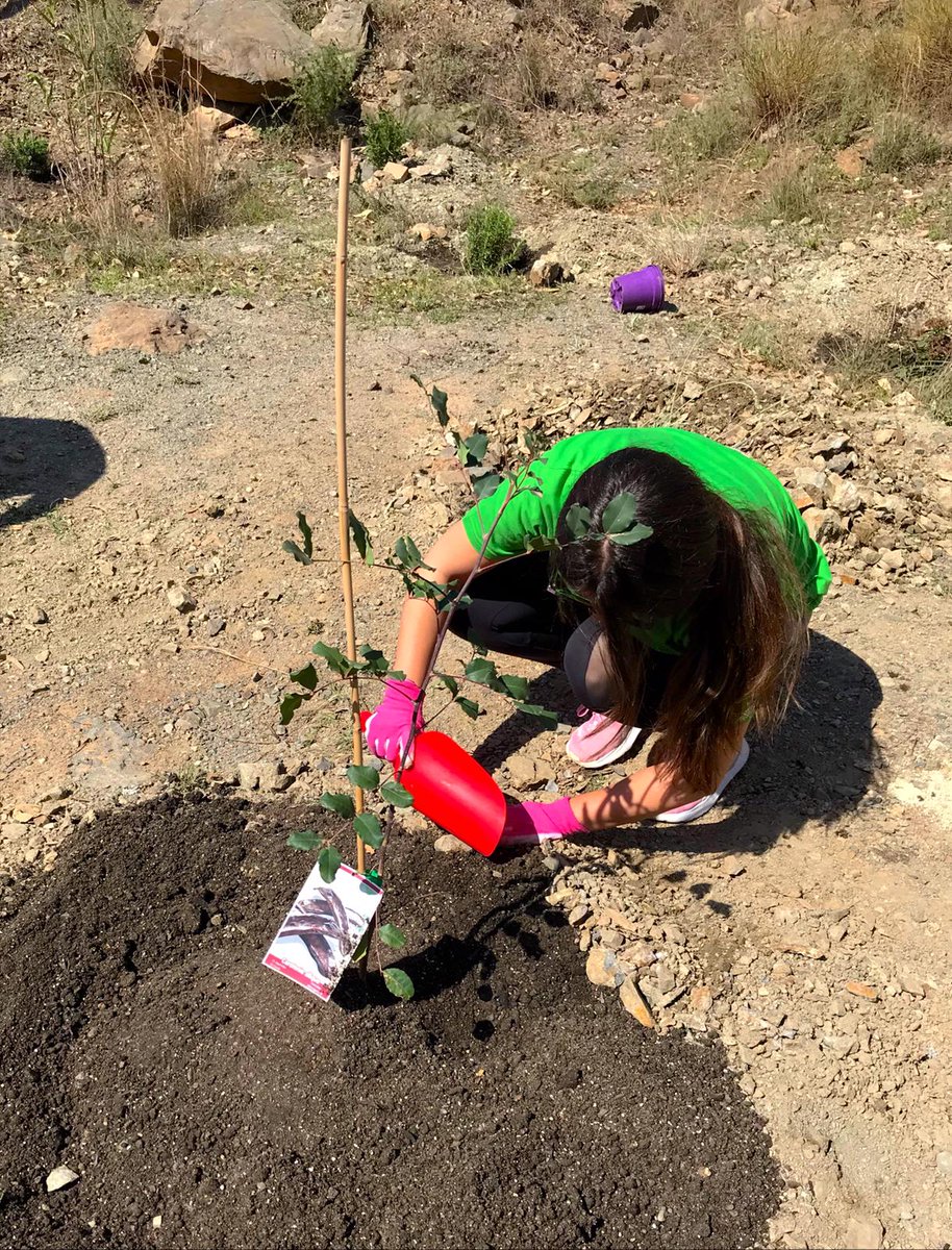 hd_materialsES's tweet photo. 🌳🌱Continúa la plantación de árboles autóctonos con alta capacidad de captura de #CO2 en la parcela experimental cedida por #LaFábricadeMálaga al proyecto "Isla de #Biodiversidad" de la asociación ambiental @way_spain y #CátedraFYMCambioClimático @InfoUMA https://t.co/xdHtOB1oKN