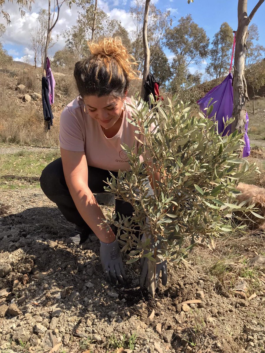 hd_materialsES's tweet photo. 🌳🌱Continúa la plantación de árboles autóctonos con alta capacidad de captura de #CO2 en la parcela experimental cedida por #LaFábricadeMálaga al proyecto "Isla de #Biodiversidad" de la asociación ambiental @way_spain y #CátedraFYMCambioClimático @InfoUMA https://t.co/xdHtOB1oKN