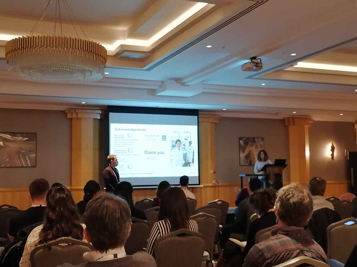 Rute Maria Pinto (@rutempinto) on Twitter photo Do you know who rules? <a href="/serdelor/">Giuditta De Lorenzo</a>!! The Zika vaccine mouse transmission lady. What a cool talk! <a href="/CVRinfo/">MRC-Uni of Glasgow Centre for Virus Research</a> #Microbio22 Do you know who rules? <a href="/serdelor/">Giuditta De Lorenzo</a>!! The Zika vaccine mouse transmission lady. What a cool talk! <a href="/CVRinfo/">MRC-Uni of Glasgow Centre for Virus Research</a> #Microbio22