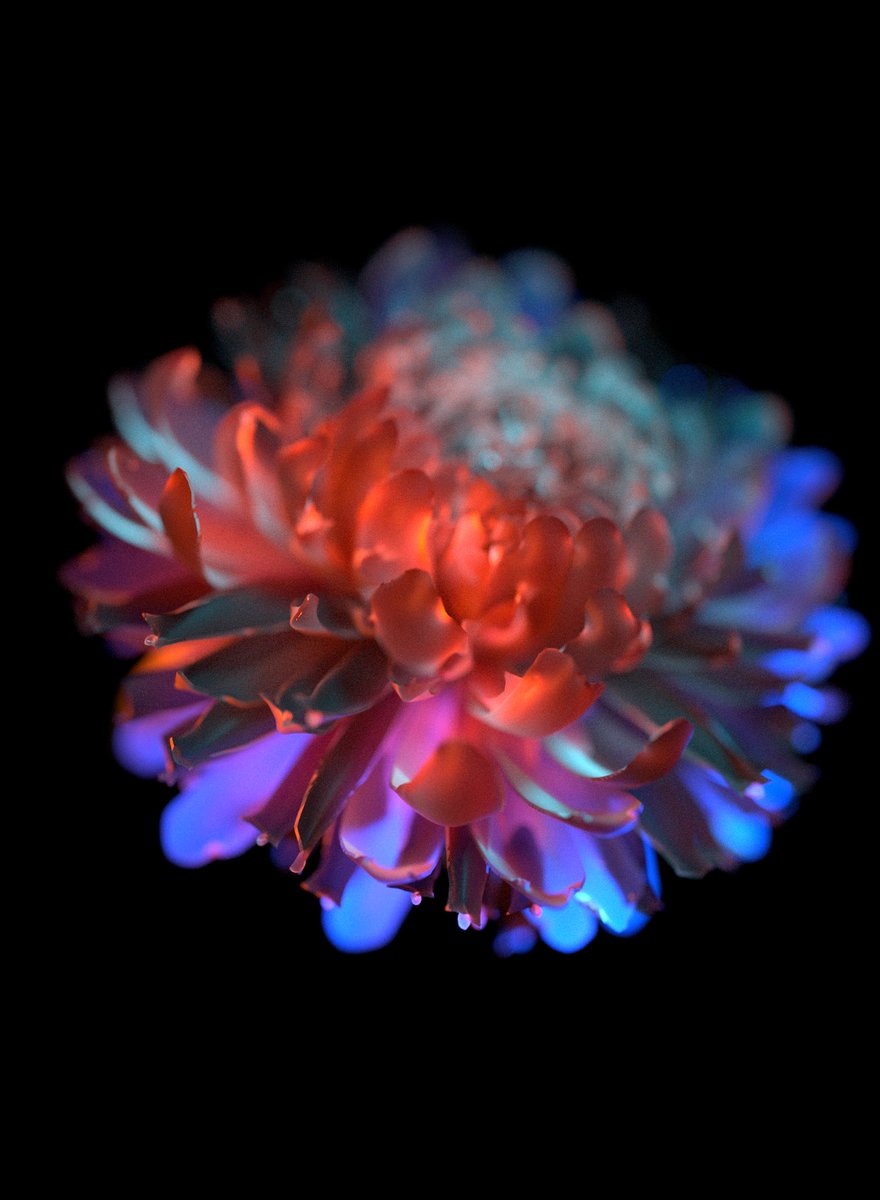 Rodrigo | RWR2 tweet media