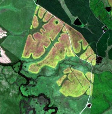 agricultuber's tweet photo. Planificando la cosecha con imágenes satelitales. Se terminó el:
"mira que está amarilleando allá"
"se sembró 5 días antes así que esta antes"
Algo así como la @minibattuy pero en estadios más tempranos. No son excluyentes las dos herramientas 😁 https://t.co/319Y0SPWHh