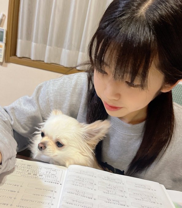 椿るいのTwitter画像7