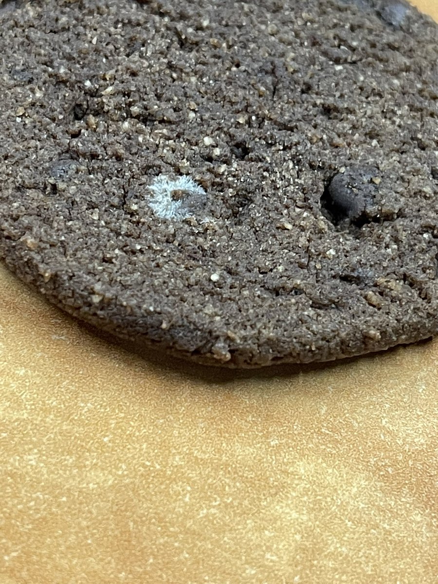 pandaskullz1's tweet photo. @eatfatsnax yo fatsnax I love your products but what’s this moldy cookie all about. Just bought this pack yesterday! Super bummed about it https://t.co/4GM6yuW6xs