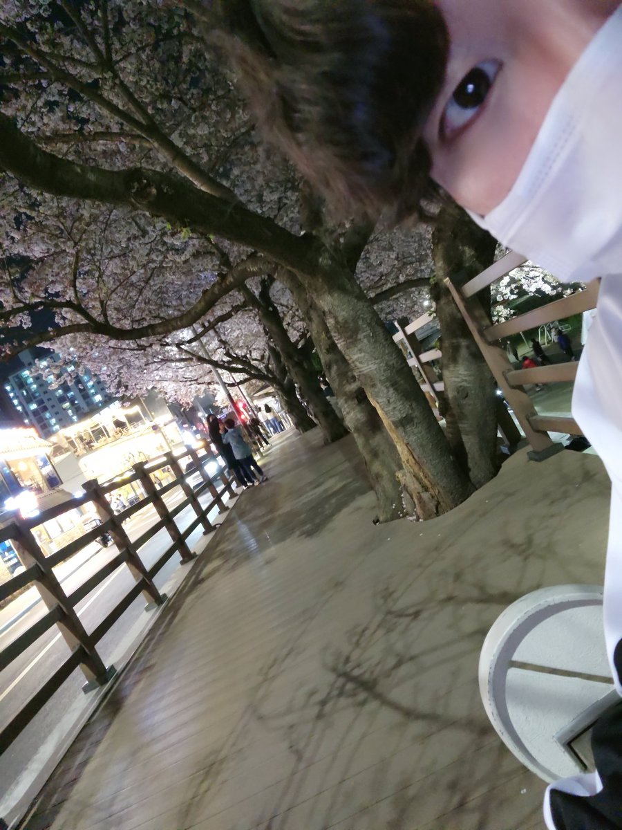 S01_Nam's tweet photo. 혼자라 짜증나는데 이쁘긴 이쁘네
#부산 #섹트 #소통 https://t.co/kktsZtDrSd