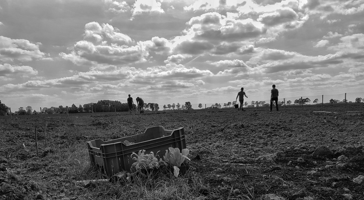 Luc: “Het is prachtig om te zien hoe iedereen steeds weer de tuin opzoekt.” Lees meer hierover op bit.ly/3DIqWgg