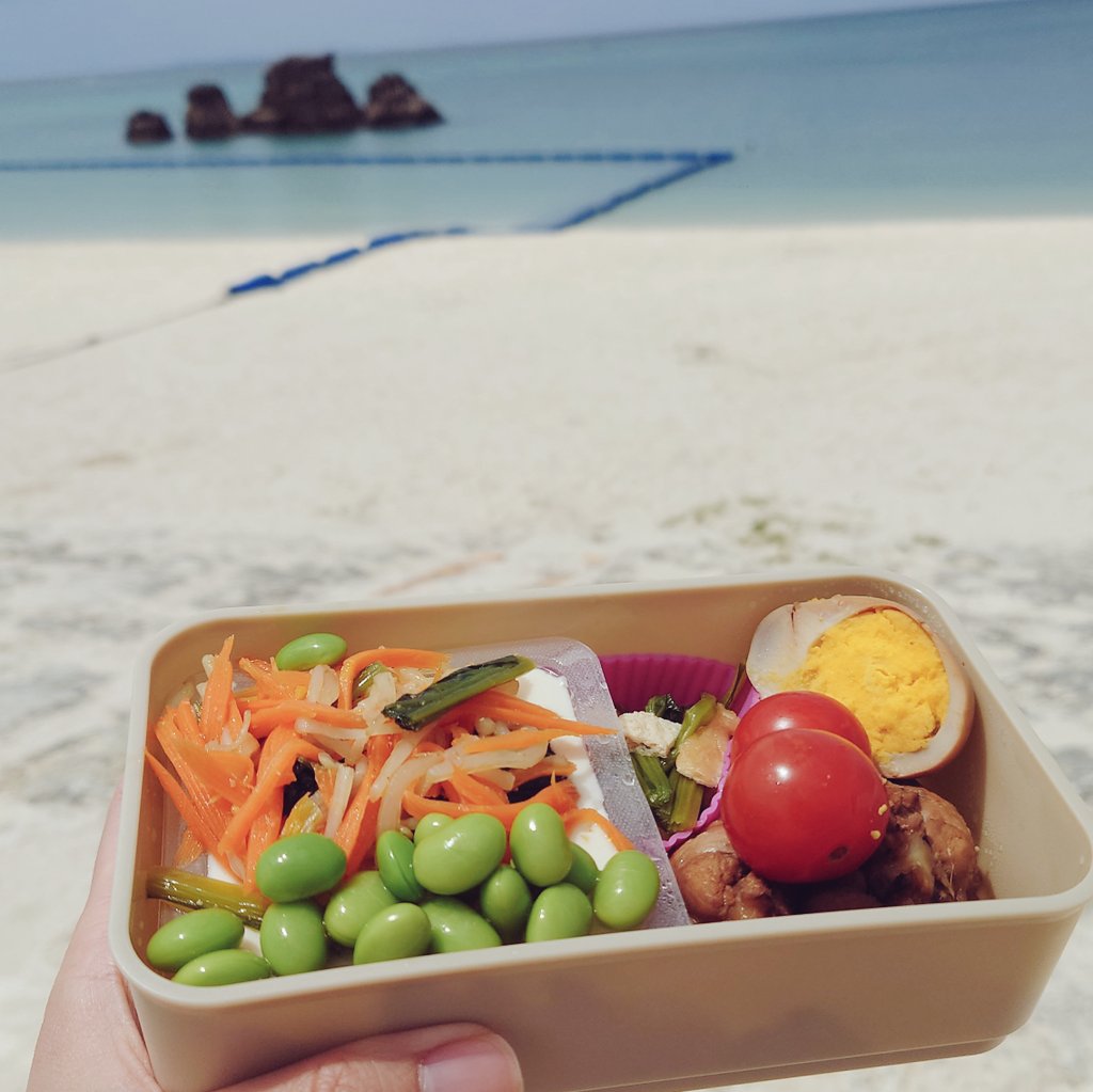 yuttarinchu's tweet photo. 今日は雲が多くて風が少し冷たかったので海水浴する人はいなかったけれど、外でランチするには心地良い気候でしたよ。ダイエット中なのでお米の代わりに豆腐を入れてまーす
#海と弁当記録 https://t.co/WdjZY7s6VP