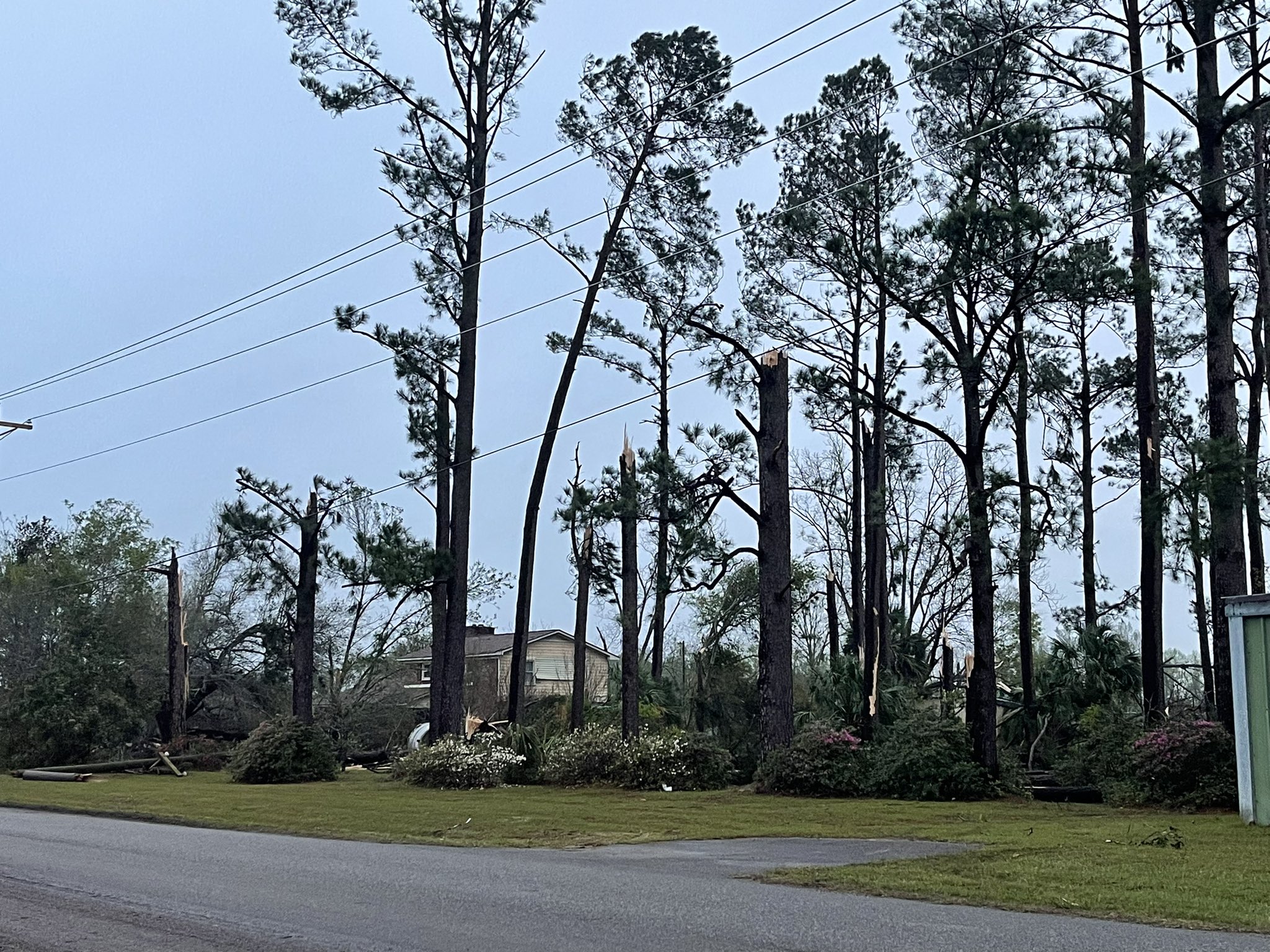 Abby Bradshaw on Twitter "Allendale, South Carolina. Images from