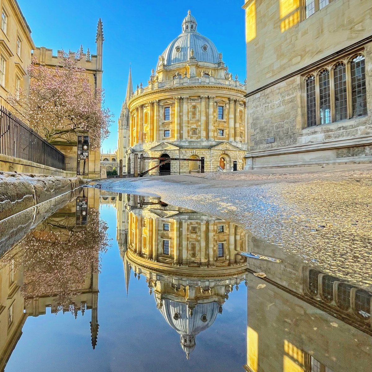 University of Oxford tweet media