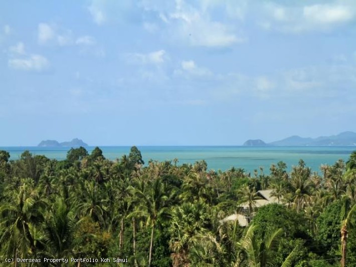 OPPRealEstate's tweet photo. S2026: KOH SAMUI BOUTIQUE RESORT FOR SALE @ 17,200,000 THB

https://t.co/dyRXpH4U6k

#oppsamui #AmazingThailand #kohsamui #thailandproperty #thailandrealestate  #samuiproperty #samuipropertyinvestments #investinsamui #cryptorealestate #cryptoproperty #cryptopropertysale https://t.co/pj8xmEiS9N