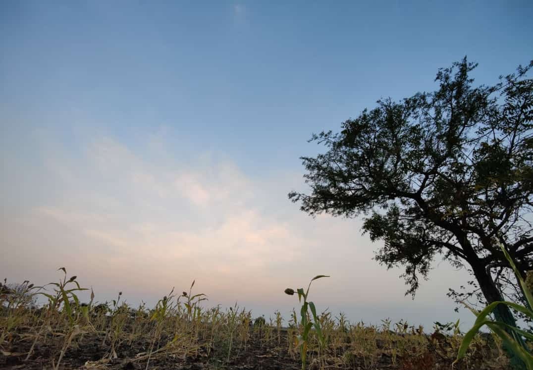 theswordsayed's tweet photo. #NaturePhotography 
#Karnataka https://t.co/CUEZsRrVK2