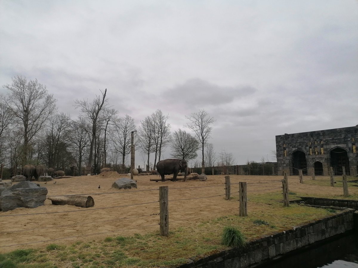 vdb_vicky's tweet photo. Lichte regen in Brugelette. 14u.
#vrtweer #pairidaiza https://t.co/g1Iel558UI
