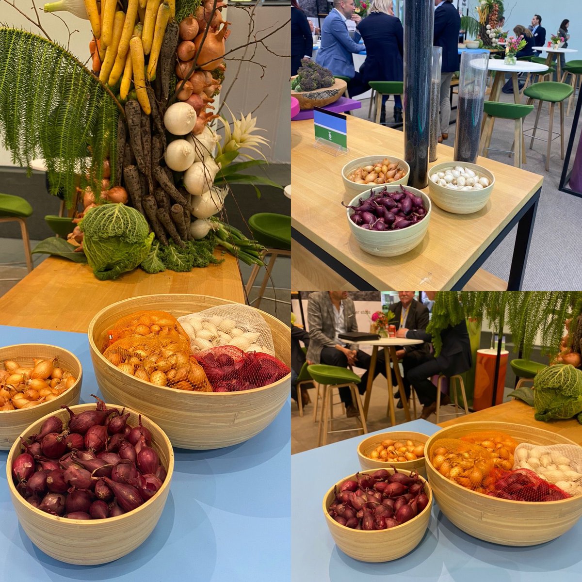 Aanwezig bij Fruit Logistica 🇩🇪 in de Bejo stand B-15, Hall 1.2 🧅 #BZFL22