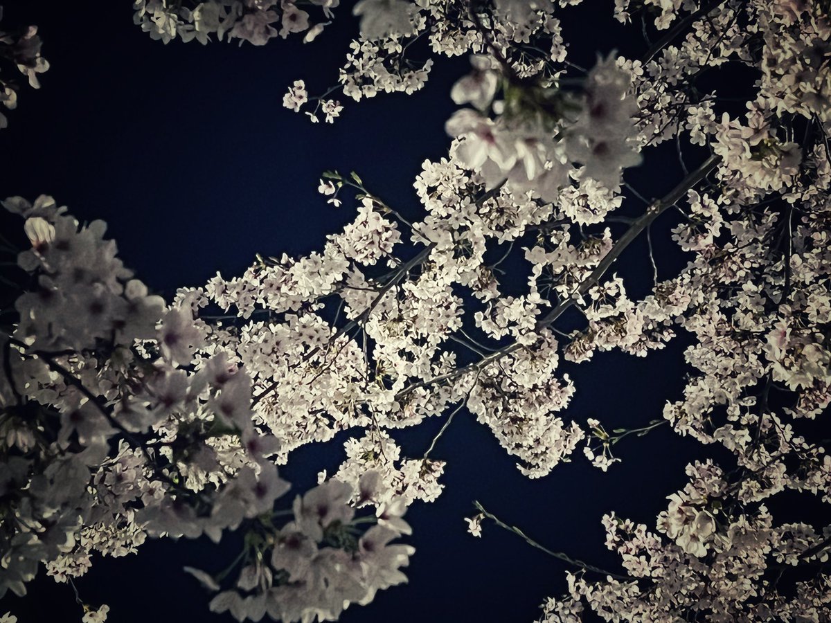 코우❄ tweet media