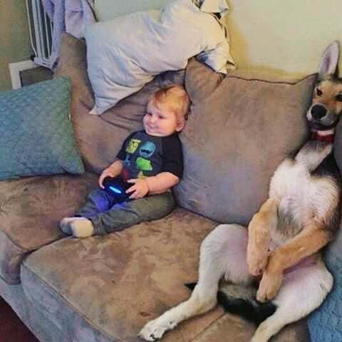 droledebuzz's tweet image. Chill