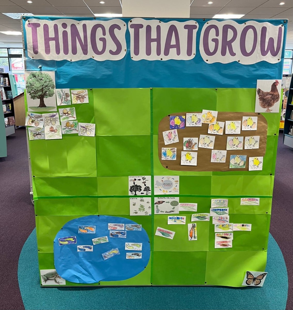 We invite you to come along during the school holidays and colour in a tadpole, caterpillar, chick or acorn and then match it with its grown up version on our very special 'Things that Grow' board which, as you can see, is already well underway! 🌳🦋🐔🐸
<a href="/SurreyLibraries/">Surrey Libraries UK</a>