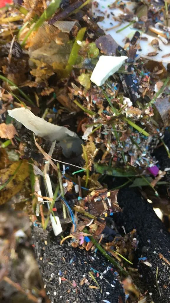 bcollective_llc's tweet photo. $BEACH Clean on the 2nd of April 2022 - Liloan, Cebu, PH, some more pictures showing the amount of Microplastics that were found
Great job as always @Jaijaikho &amp; the team💪💪💪
#DeFi #Crypto #NFTs #DoGood #CleanOceans #ClimateAction #BlueCarbon #Metaverse https://t.co/XtMZkTZ08x