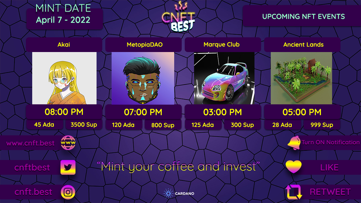 CNFT BEST 🏆 tweet media