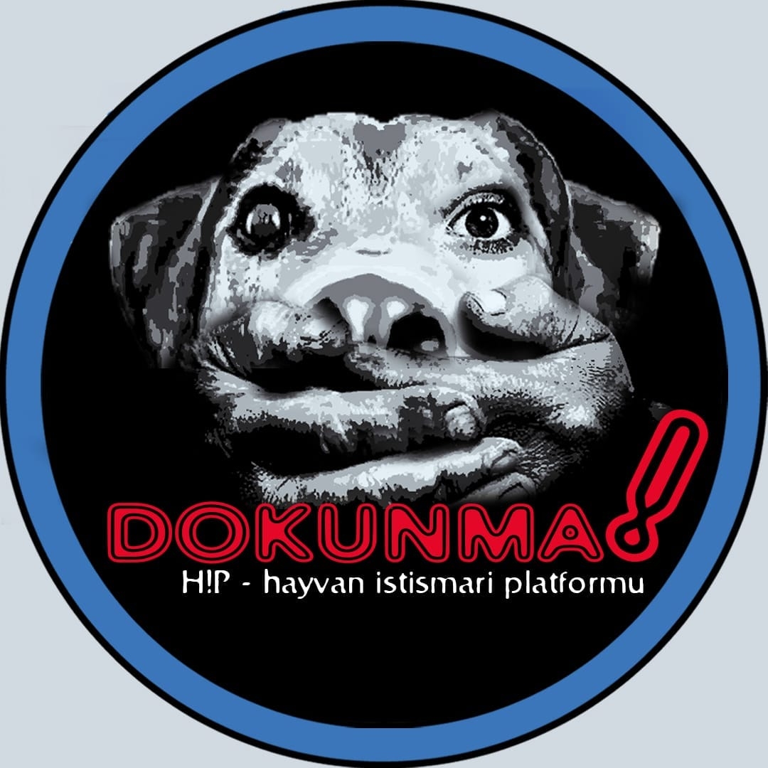 istismar's tweet photo. KINIYORUZ
AYIPLIYORUZ
UTANIYORUZ.....
Yıldız Tilbe ile başlayan sahipsiz hayvanlara yönelik şiddet ve nefret söylemleri bu kez de Yeşim Salkım ile devam ediyor.
Dünyaya ayak attığı andan itibaren hayvanların etinden, sütünden, derisinden, kılından, tüyünden, kemiğinden, kanından+ https://t.co/r13bx14eEb