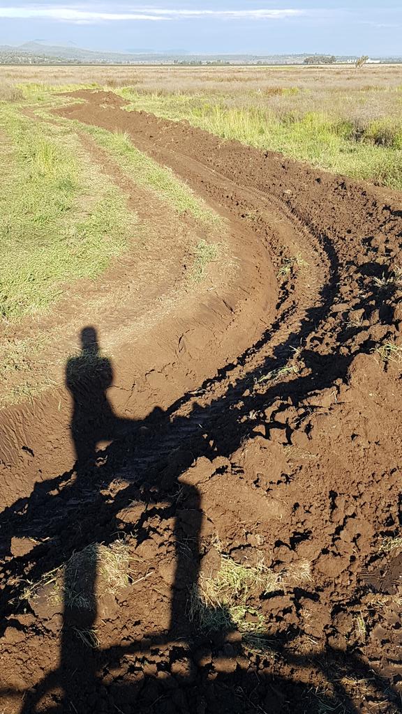 land_hydro's tweet photo. Landscape Rehydro Proj caught a slither of a break in the weather at "Llara" farm #USYD Narrabri to form up 3 contours on the sandy loams (vertisols still very soggy). @wv2017 @vanessapino @SiaSydney  @SydneySOLES https://t.co/ydDUwA5ISu