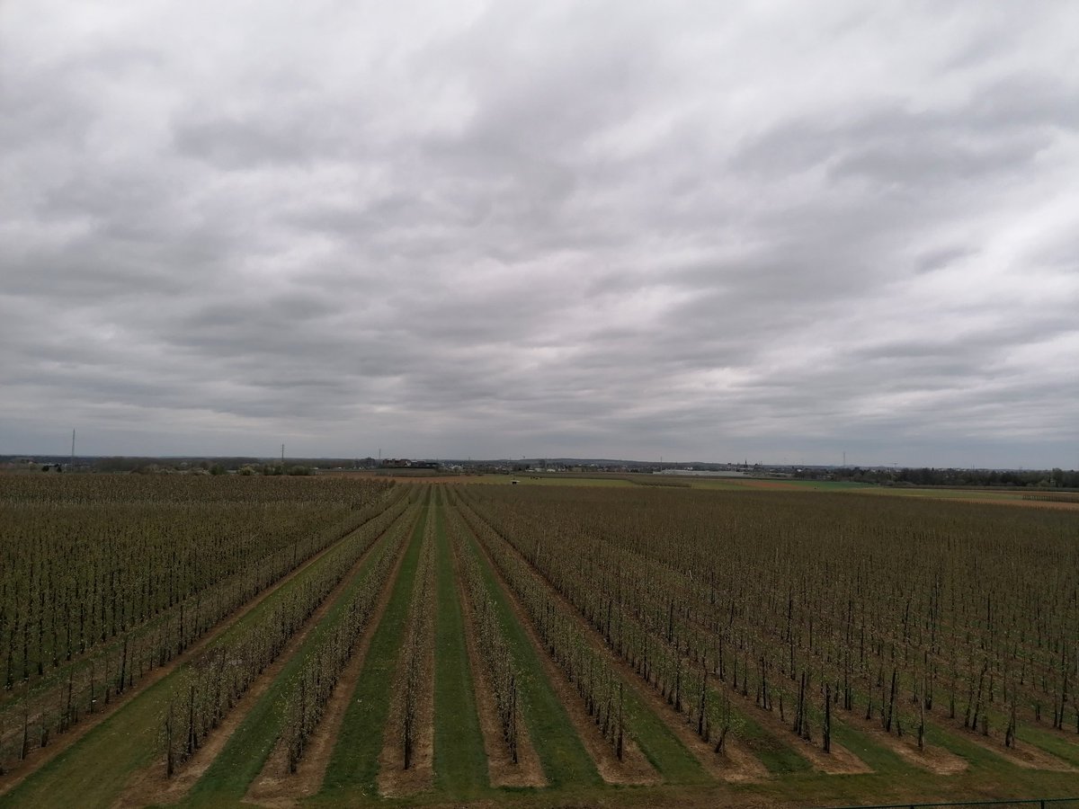 wimkeyen's tweet photo. #vrtweer https://t.co/3ML2RJ8L0Y