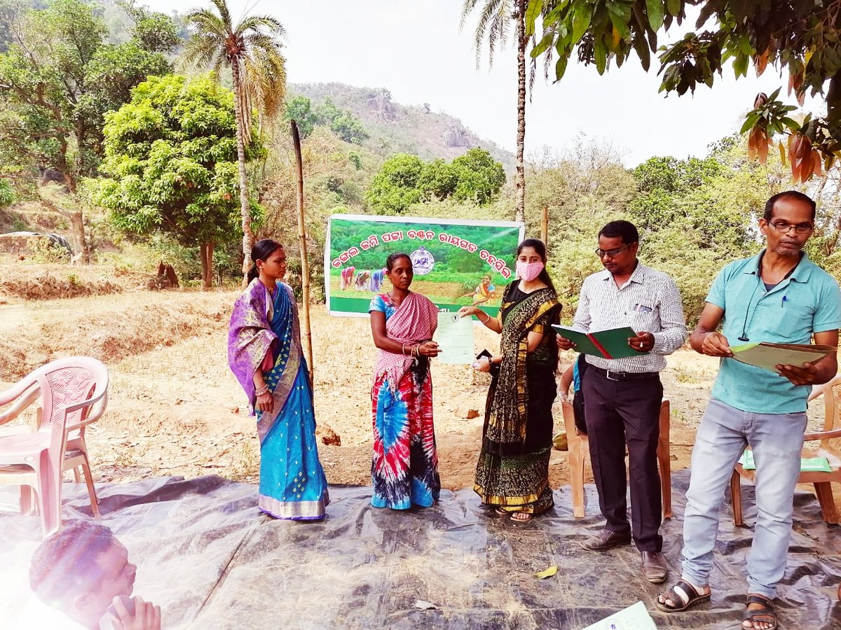 subcollectorPKD's tweet photo. In an effort to provide revenue service at the doorstep, 59 FRA RORs distributed to the beneficiaries in Village Jamtarang of Lailai GP by Tahasildar Raygada under Raygada Tahasil.
@DM_Gajapati
@CMO_Odisha 
@MoSarkar5T
@rdmodisha 
@stscdev https://t.co/XDoBH2xhND