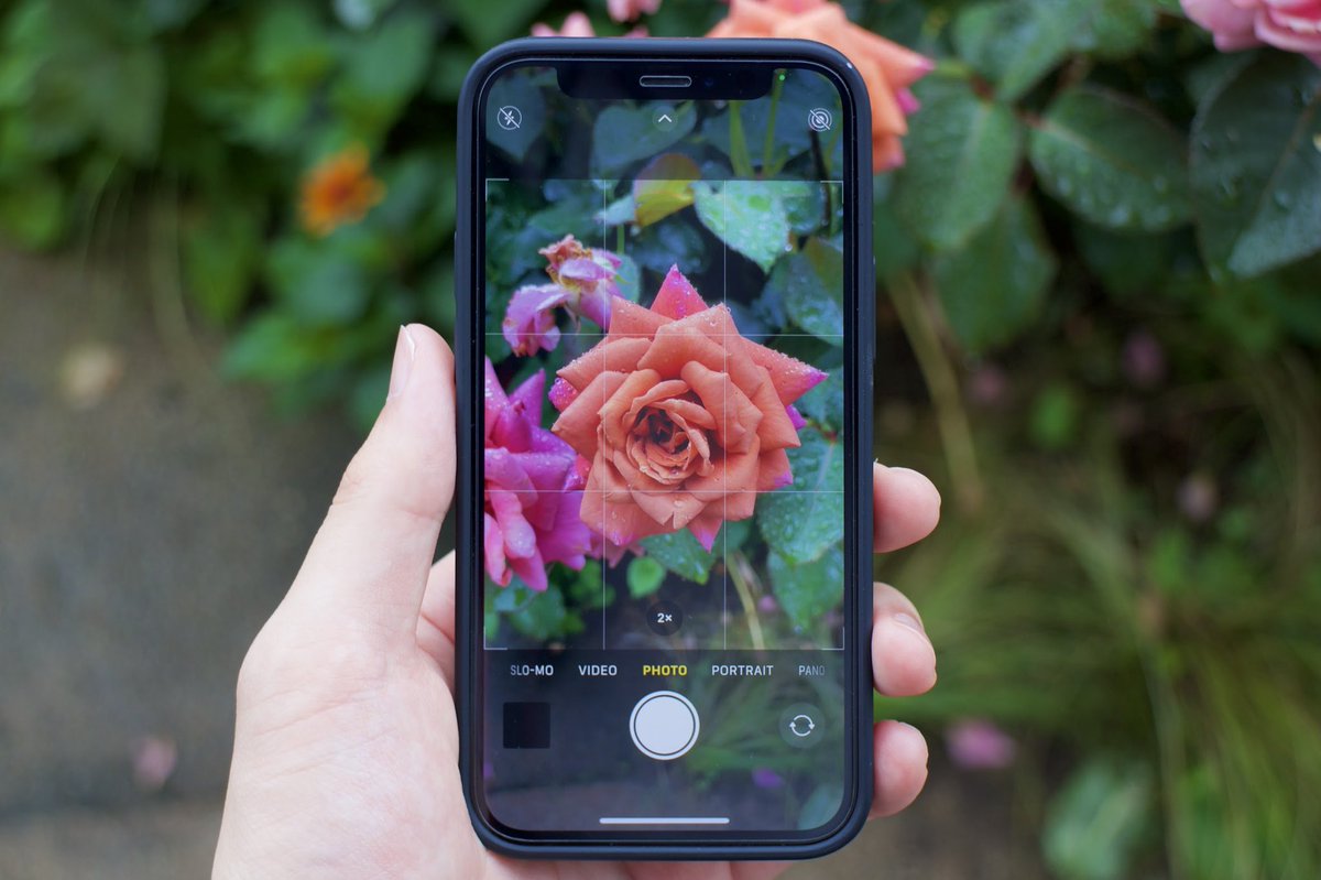 【デジフォトサークル紹介2️⃣】

✔️カメラについて
カメラを買うことは強制ではありません❗️
一眼レフやミラーレスなどを持っていなくても大丈夫です◎

スマホで撮影している方もいます🤳✨

もし何か気になることがあれば、気軽に聞いてください💭

#春から横市 #春からYCU